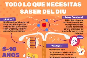 todo lo que necesitas sabel del DOI